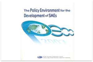 2007-policy environment SMEs